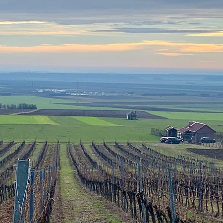 Kuca Za Odmor Kiss-Karanac,Baranja Villa Dış mekan fotoğraf