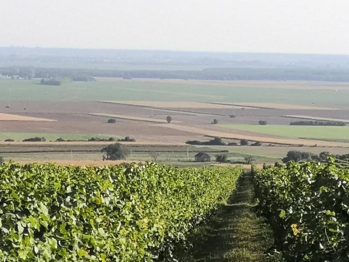 Kuca Za Odmor Kiss-Karanac,Baranja Villa Dış mekan fotoğraf