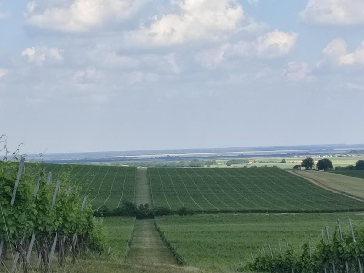 Kuca Za Odmor Kiss-Karanac,Baranja Villa Dış mekan fotoğraf