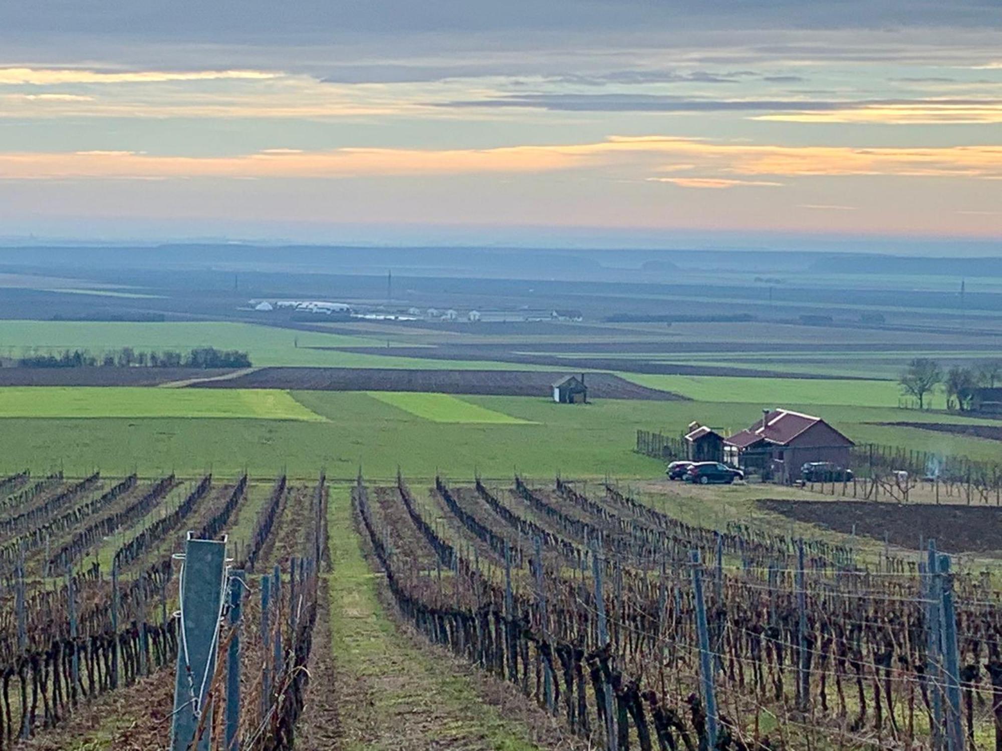Kuca Za Odmor Kiss-Karanac,Baranja Villa Dış mekan fotoğraf